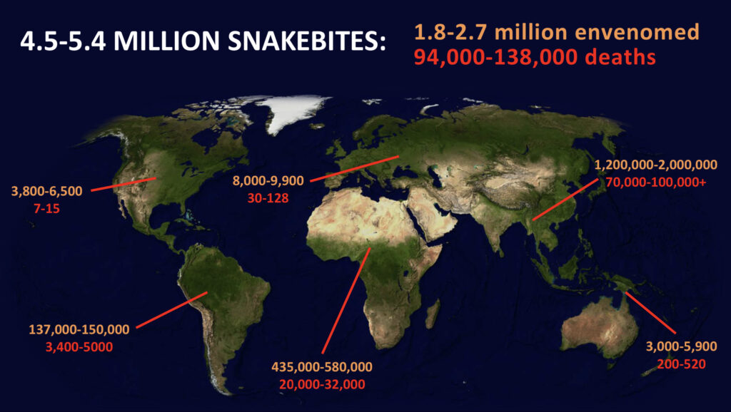 Map of the world with text overlay that reads: 4.5-5.4 million snakebites; 1.8-2.7 million envenomed; 94,000-138,000 deaths.