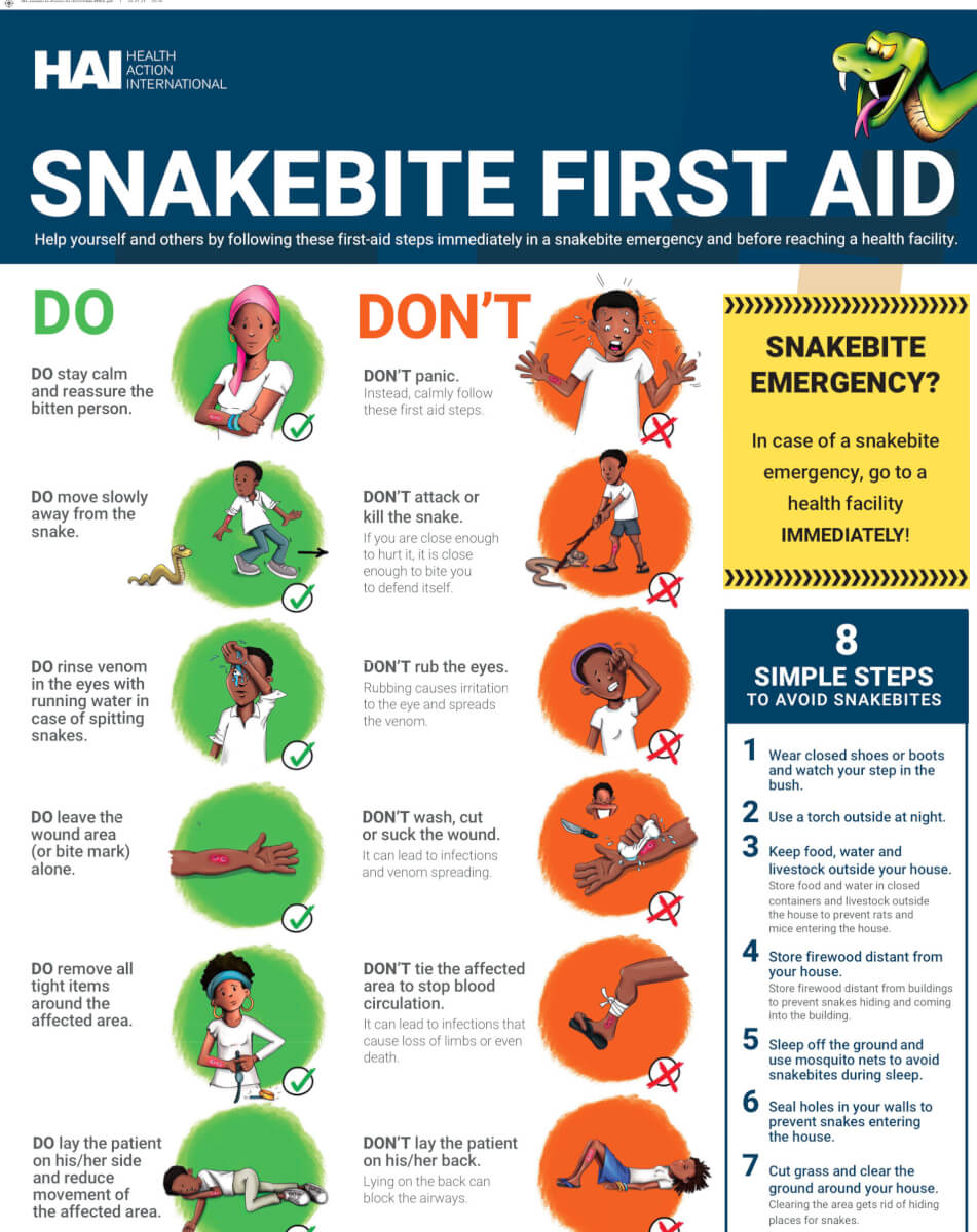 Snakebite First Aid and Prevention Poster (English for Africa)