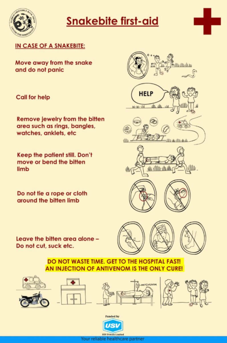 Snakebite First Aid Poster (English for India)