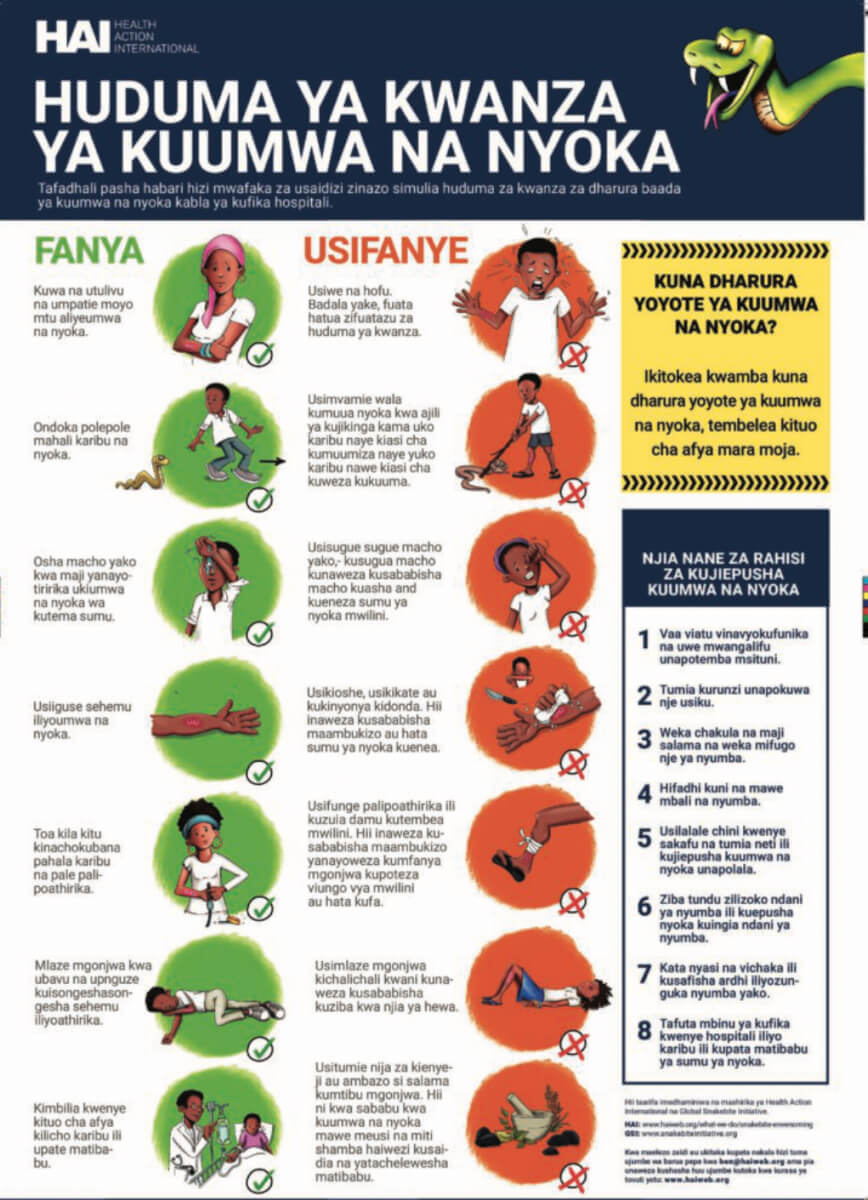 Snakebite First Aid and Prevention Poster (Swahili)