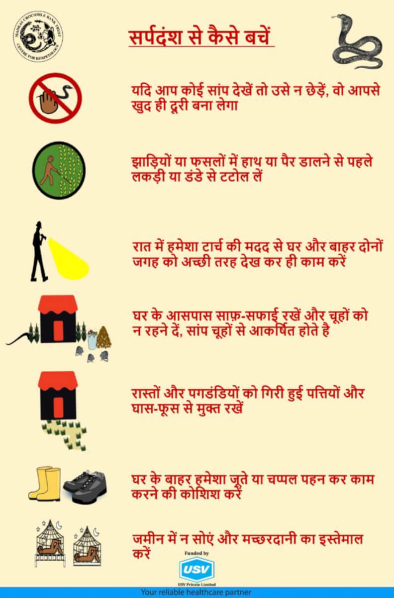 Snakebite Prevention Poster (Hindi)