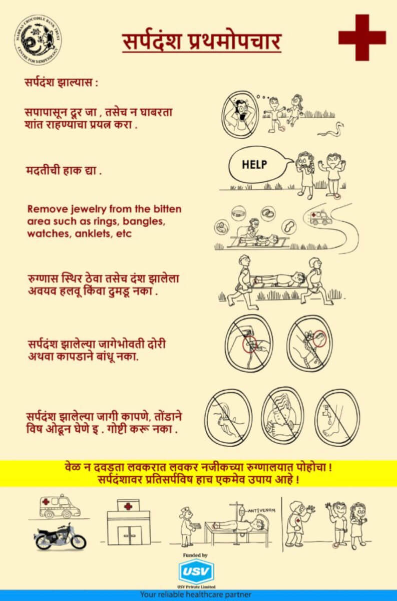 Snakebite First Aid Poster (Marathi)