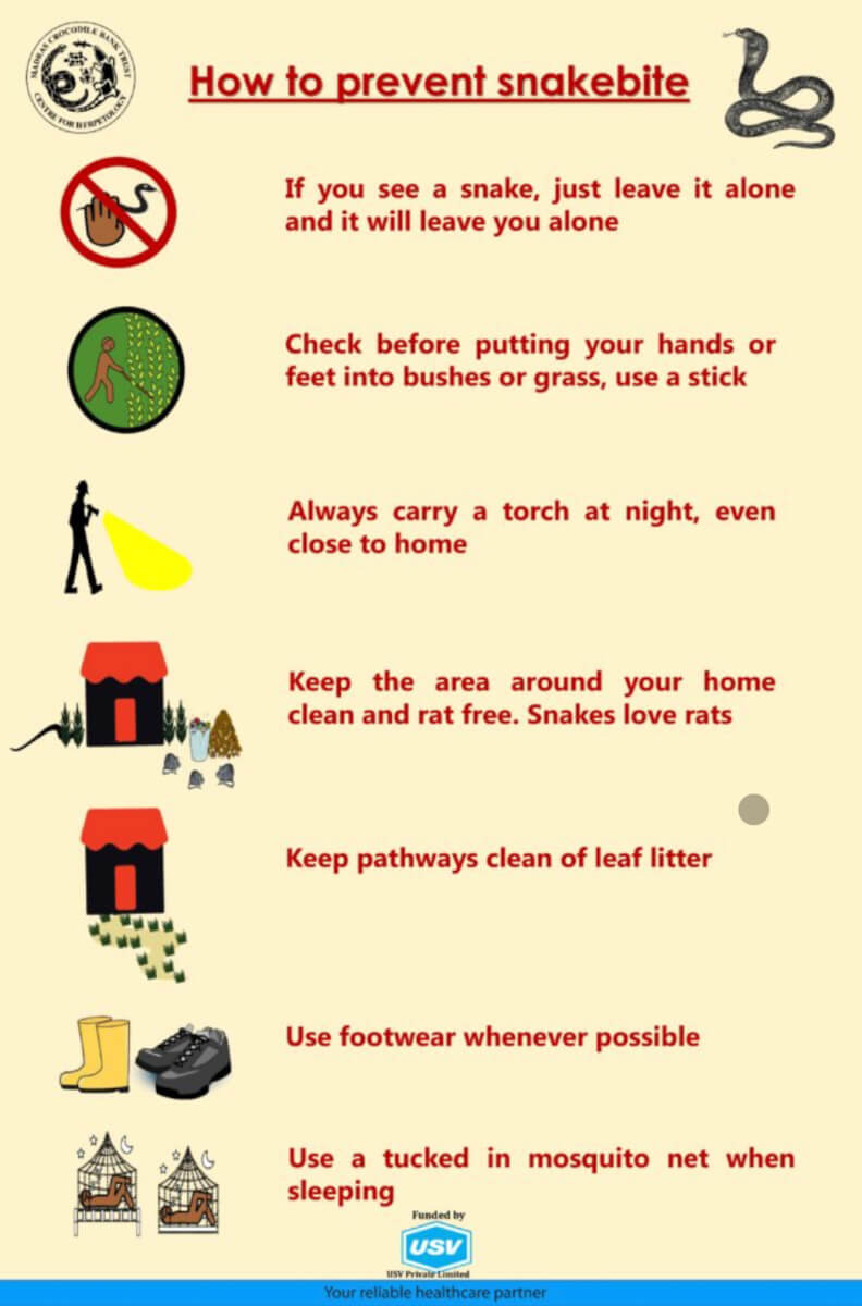 Snakebite Prevention Poster (English for India)