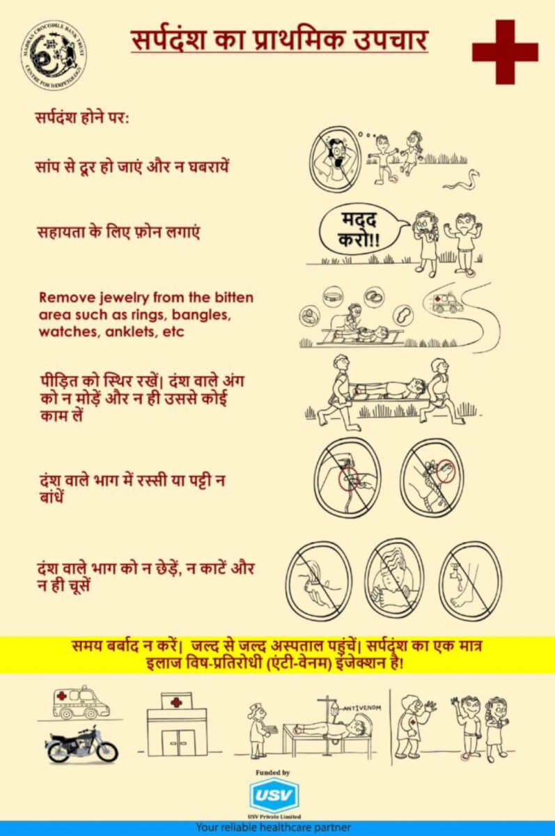 Snakebite First Aid Poster (Hindi)