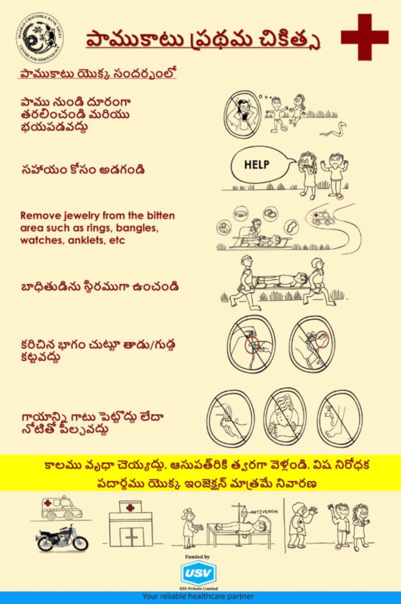 Snakebite First Aid Poster (Telugu)