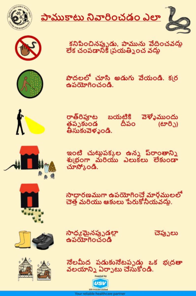 Snakebite Prevention Poster (Telugu)